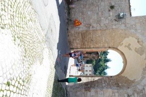 SAM_3787