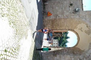 SAM_3790