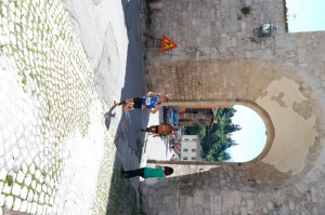 SAM_3794