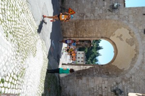 SAM_3810