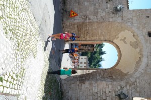 SAM_3833