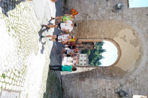 SAM_3838