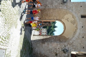 SAM_3873
