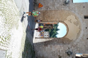 SAM_3877
