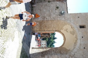 SAM_3937