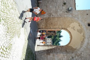 SAM_3941