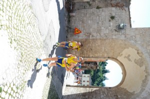 SAM_3949