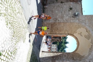 SAM_3955