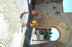 SAM_3956