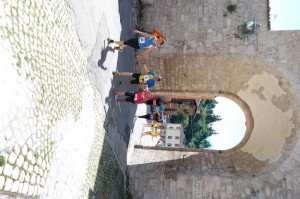 SAM_3964